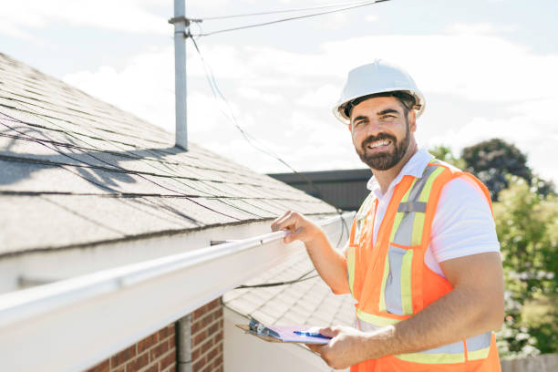 Best Roof Gutter Cleaning  in Wyanet, IL