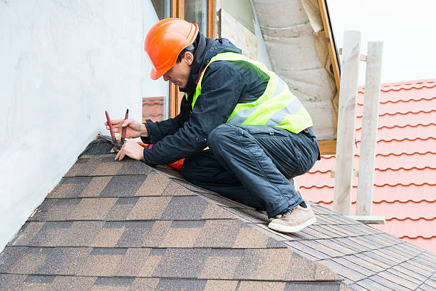 Best Roof Leak Repair  in Wyanet, IL